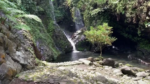 Waterfall Stock Footage 254380016