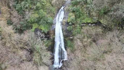 Waterfall Video stock 263709432