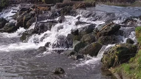 Waterfall Stock Footage 264761352