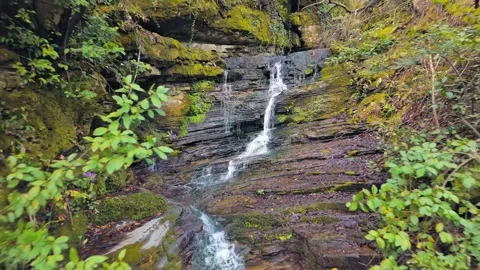 Waterfall Stock Footage 269849904