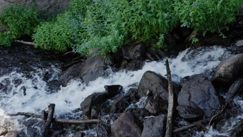 Waterfall Stock-Footage 280887187