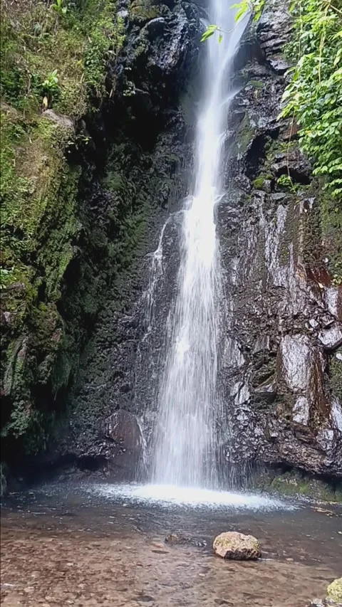 Waterfall Stock Footage 284912998