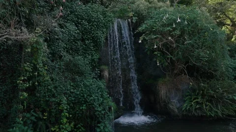 Waterfall Stock Footage 289019684