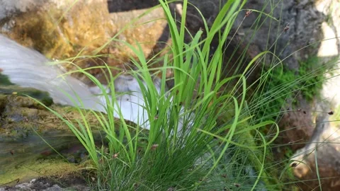 Waterfall 스톡 동영상 292393010