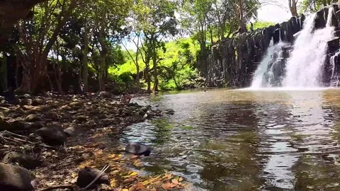 Waterfall Stock Footage 293203536