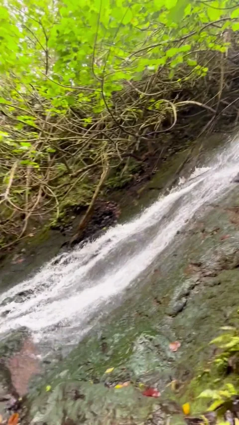 Waterfall Stock Footage 305808438