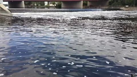 Waterfall Stock Footage 310566947