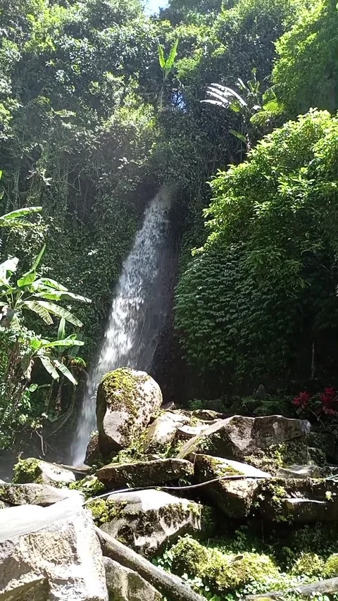 Waterfall Vídeos de archivo 311838939