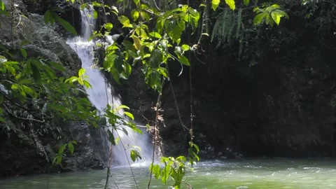 The Waterfall 스톡 동영상 312861802