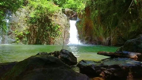 The waterfall Stock Footage 313251227