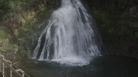 Waterfall 库存影片 329846880