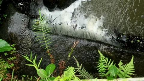 Waterfall Stock-Footage 331574249