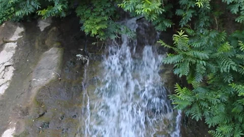 Waterfall Stock Footage 339227731