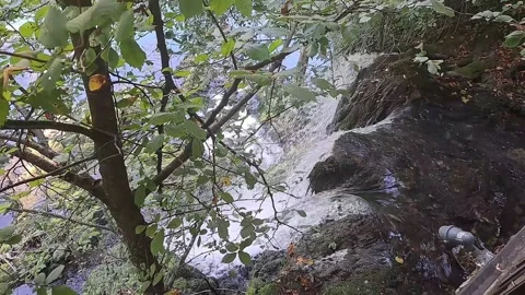 Waterfall Footage Video stock 250133337