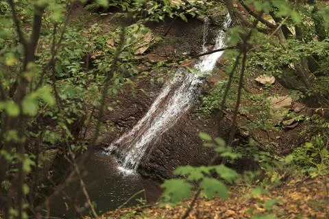 Waterfall in Foreset Foto stock
