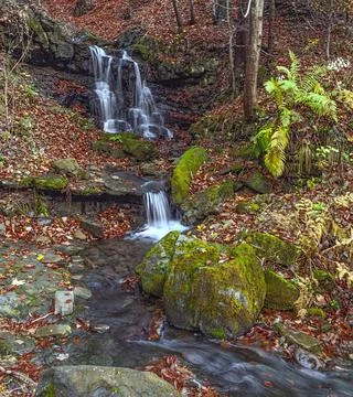Waterfall in the forest 1 Stock Photos