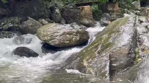 Waterfall in the forest-2 Stock Footage 315549130
