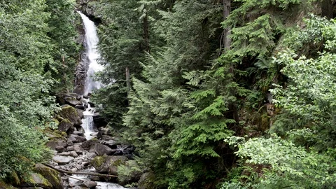 Waterfall in the forest 4K Stock Footage 111168959