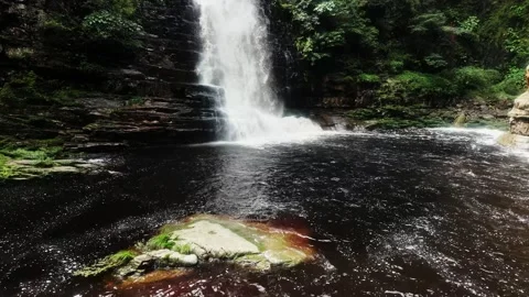 Waterfall in Forest 4K Video Stock Footage 319924038