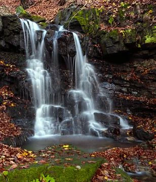 Waterfall in the forest 5 Stock Photos