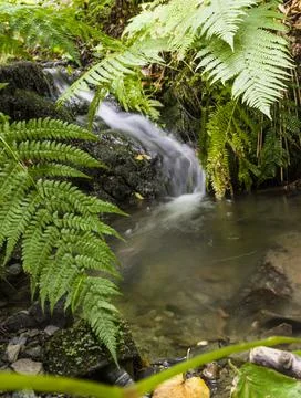 Waterfall in the forest 6 Stock Photos