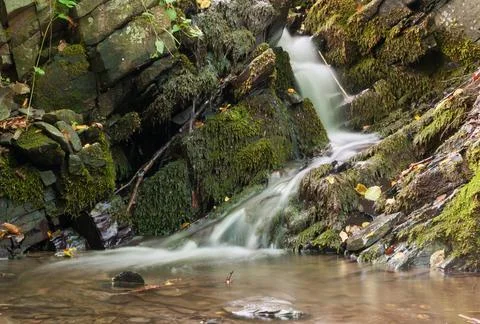 Waterfall in the forest 8 Stock Photos