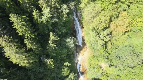 Waterfall forest aerial view 스톡 동영상 240770011