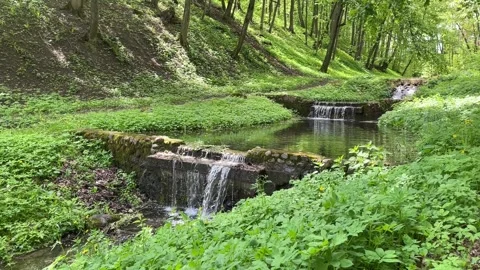 A waterfall in the forest among thick green trees and grasses Stock Footage 312999519