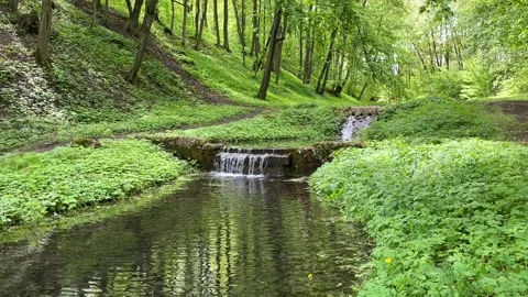 A waterfall in the forest among thick green trees, water flows down the steps Stock Footage 313347086