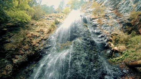 Waterfall in the forest among the trees Stock Footage 95172619
