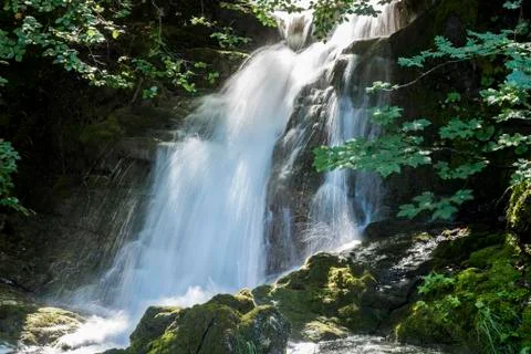 Waterfall in Forest Austria Stock Photos