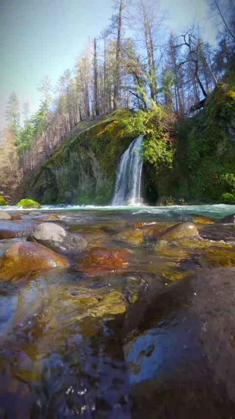 Waterfall in the forest in autumn Stock Footage 273978327