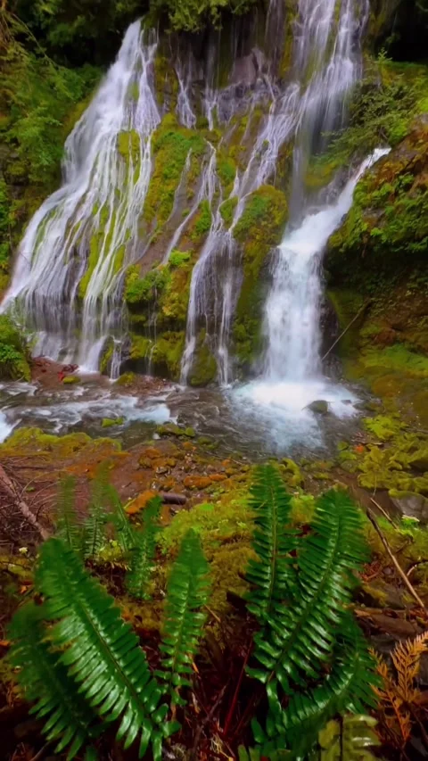 Waterfall in the forest in autumn Stock Footage 273978640