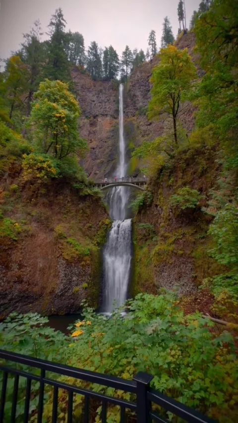 Waterfall in the forest in autumn Stock Footage 274274181