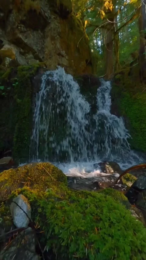 Waterfall in the forest in autumn Stock Footage 274281029