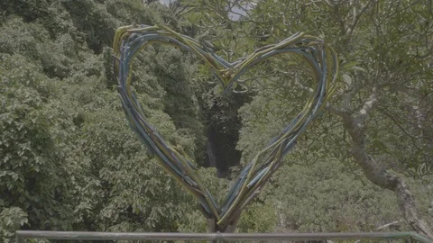 Waterfall in the forest, Bali Stock Footage 129077938