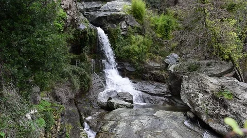 Waterfall at the forest of Bastia Stock Footage 102659766