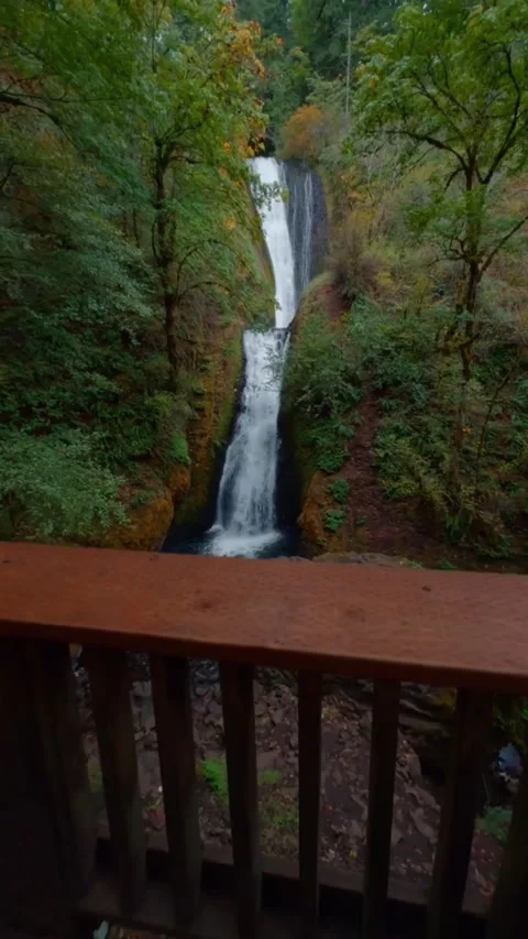 Waterfall in the forest between mountain and trees Stock Footage 274043581