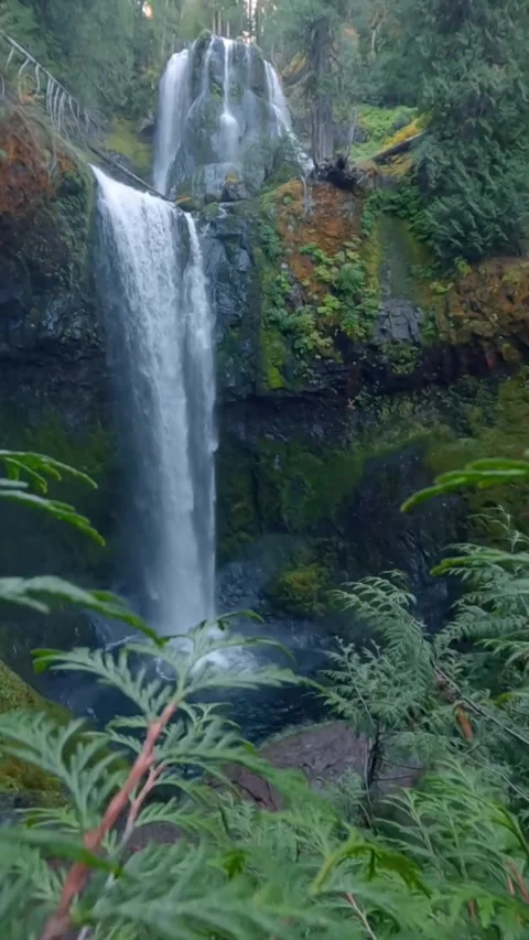 Waterfall in the forest between mountains Stock Footage 274350549