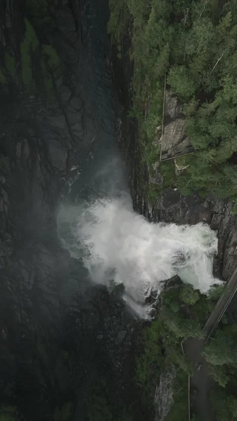 Waterfall in a forest canyon from above captured vertical Stock Footage 255322853
