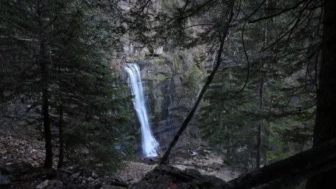 Waterfall in the forest - Chartreuse mountains Stock Footage 165801326