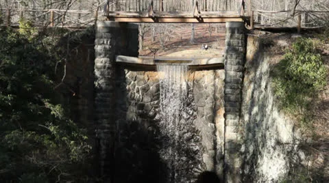 Waterfall Forest CU 動画素材 22664927