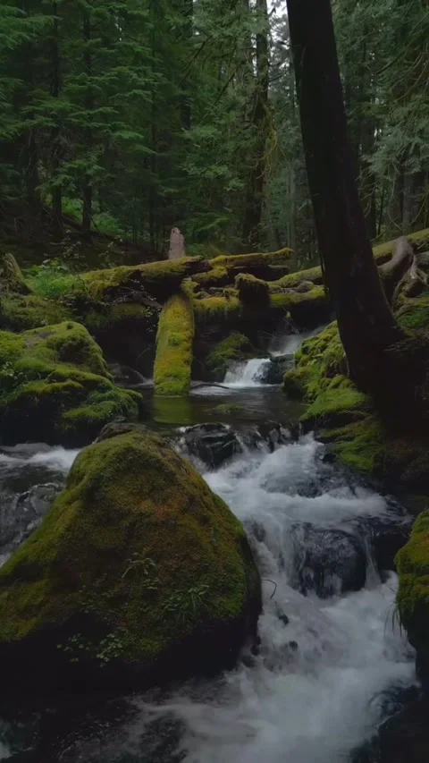 Waterfall in the forest with cutting woods Stock Footage 274277374
