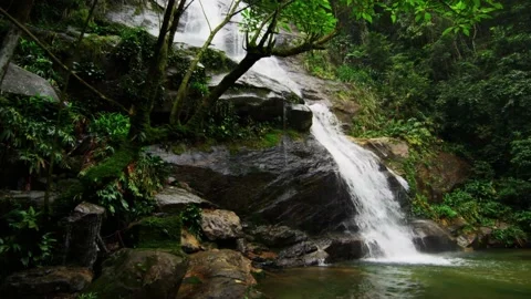 Waterfall In The Forest Down The Cliff Stock Footage 156524332