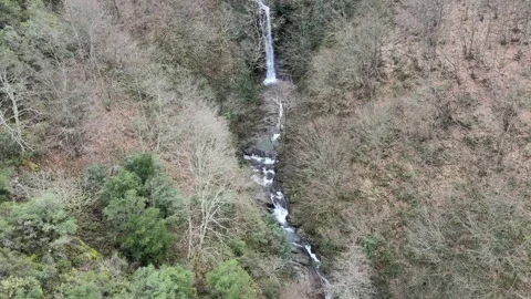 Waterfall forest drone Stock-Footage 263869010