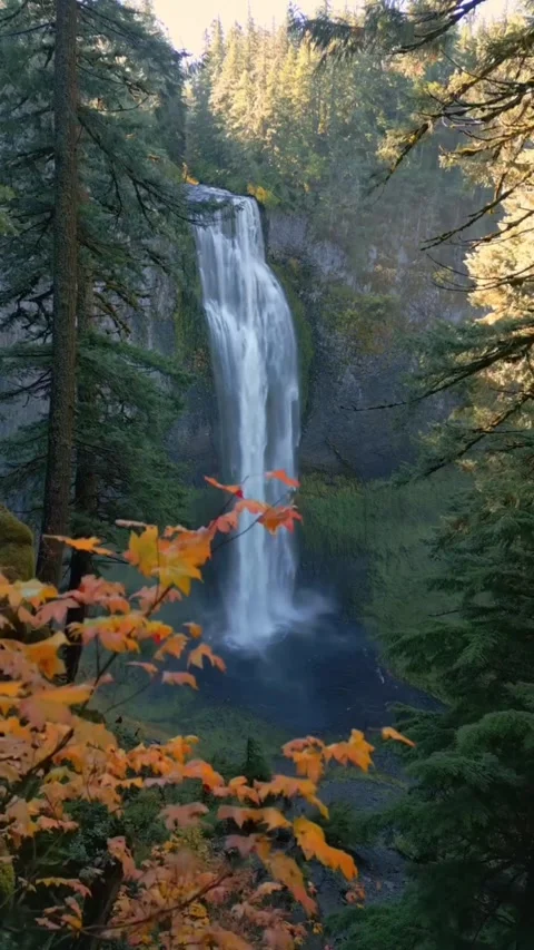 Waterfall in the forest during autumn Stock Footage 274351571