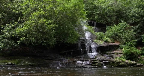 Waterfall in the forest flowing into the river Video stock 91757041