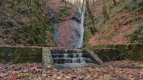 Waterfall in the forest flows down the stone steps Stock Footage 225122304