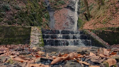 Waterfall in the forest flows down the stone steps Stock Footage 225122400