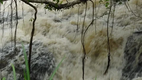 Waterfall in the forest that flows strongly during the rainy season. Stock Footage 309311400